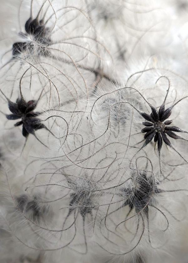 Weird. February, 2022