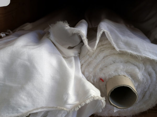 Fluffy Enneda. 2025, March, 2025