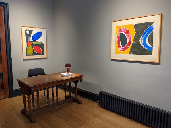 Pxl 20210112 124129872