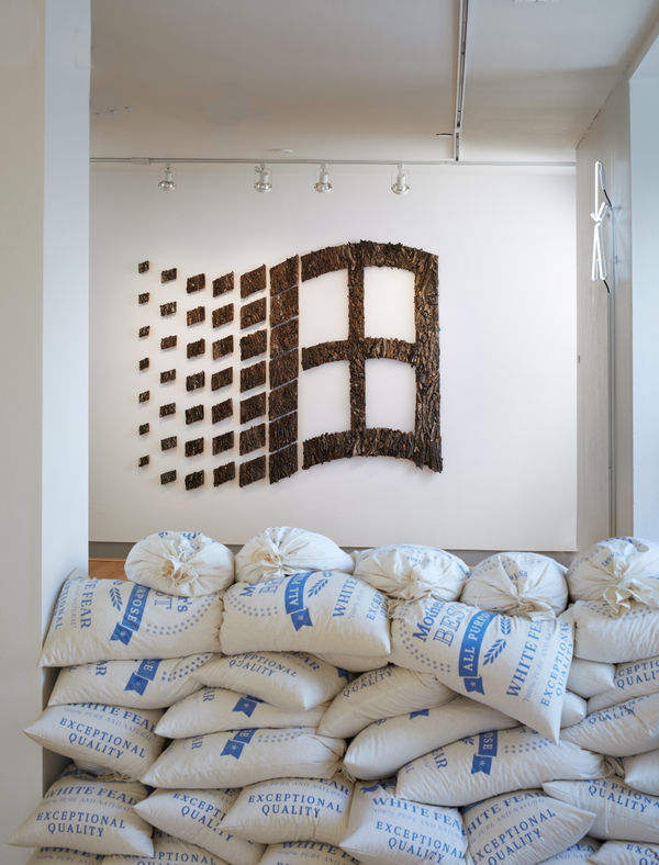 Asterisks Installation Feat Jami Porter Lara And Kate Ruck Work 2022