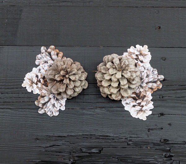 Opening Reception: Homecoming, 5 - 7pm