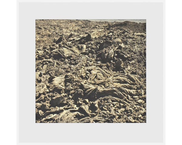 Craigie Horsfield Irresponsible Drawings