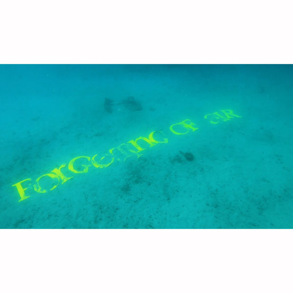 Raqs Media Collective