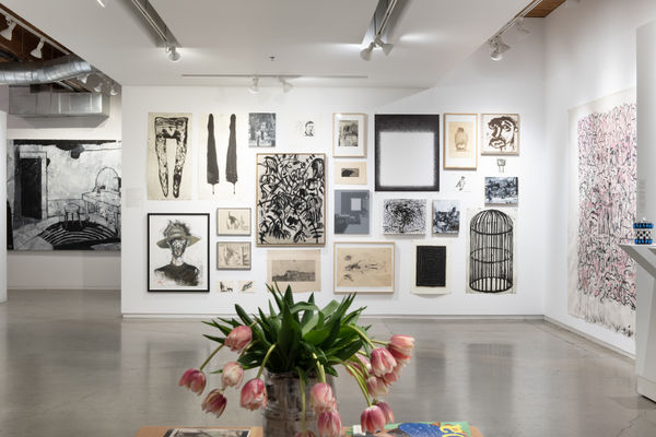 Rebekah Johnson Photo 2024 013