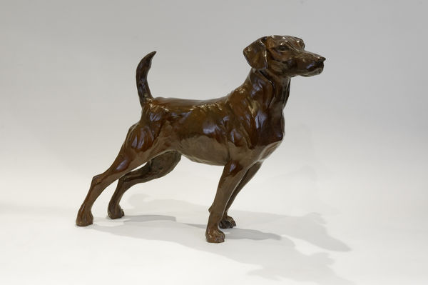 Hadrien DAVID, La chienne, dite "Bonnie"