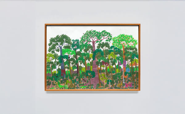 Aycoobo Montaña firme, 2025 acrílica sobre papel [acrylic on paper] 76 x 106 x 3.5 cm 29 7/8 x 41 3/4 x 1 3/8 in (22153) Ph: Juan Pablo Velasco. Courtesy of the artist and Instituto de Visión