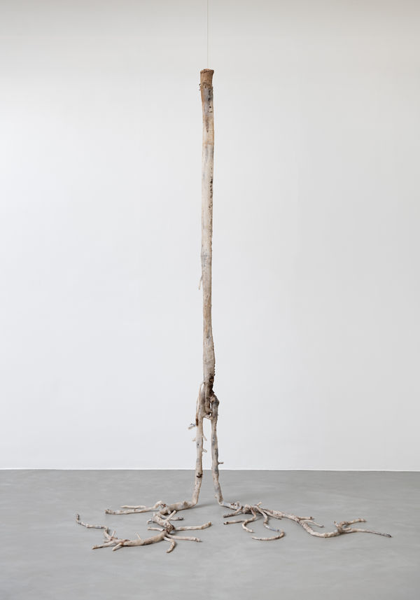 Clarissa Tossin Fatalidade do Aquecimento Global (Persea americana, jardim de casa, Los Angeles) [Rising Temperature Casuality (Persea americana, home garden, Los Angeles)], 2021 silicone, pigmento preto e casca de árvore [silicone, black pigment e tree bark] 320 x 122 x 147 cm 126 x 48 x 57 7/8 in (19833)