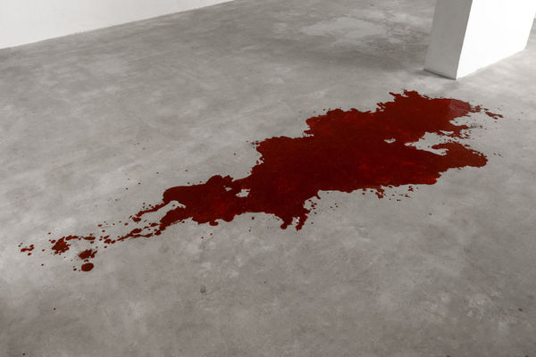 Marina Borges Sem título [Untitled], 2024 látex e pigmento [latex and pigment] dimensões variáveis [variable dimensions] (22367)