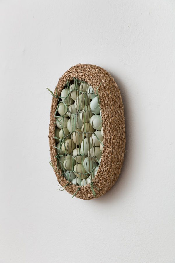 Dan Coopey 4 douzen minus 1, 2025 junco, algodão revestido de cera, cascas de ovos [rush, wax coated cotton, egg shells] 42 x 34 x 7 cm 16 1/2 x 13 3/8 x 2 3/4 in (22380)