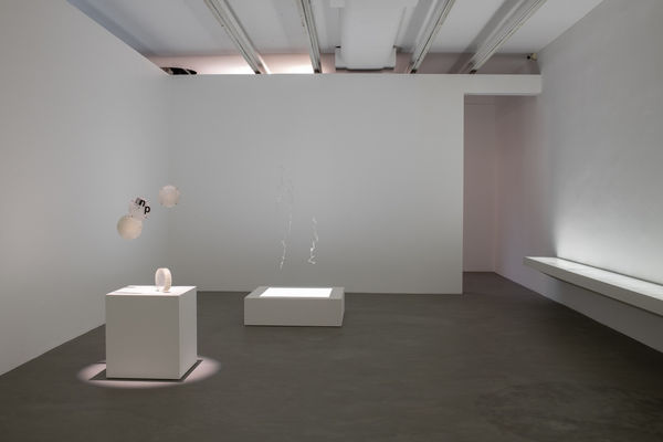 Transparências Mira Schendel