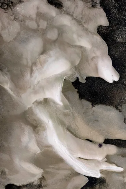 Uiler Costa-Santos, Untitled, Bahia, 2020