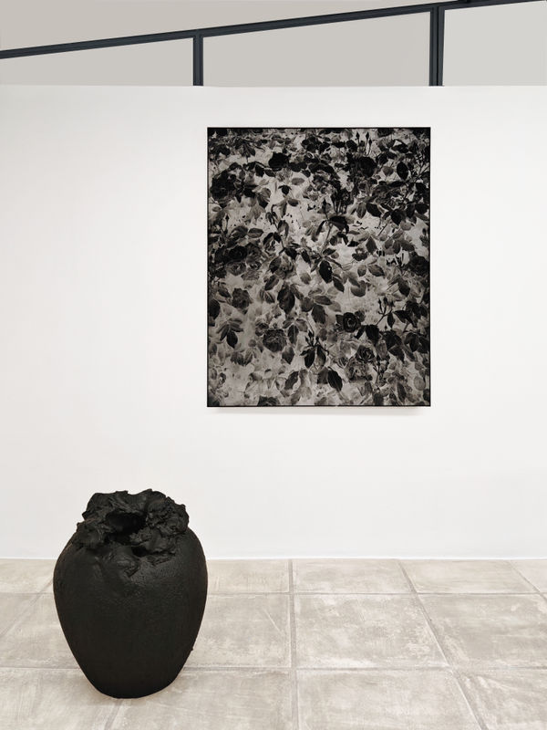 La possibilité d'une collection III Décembre 2024 Galerie Catherine Issert