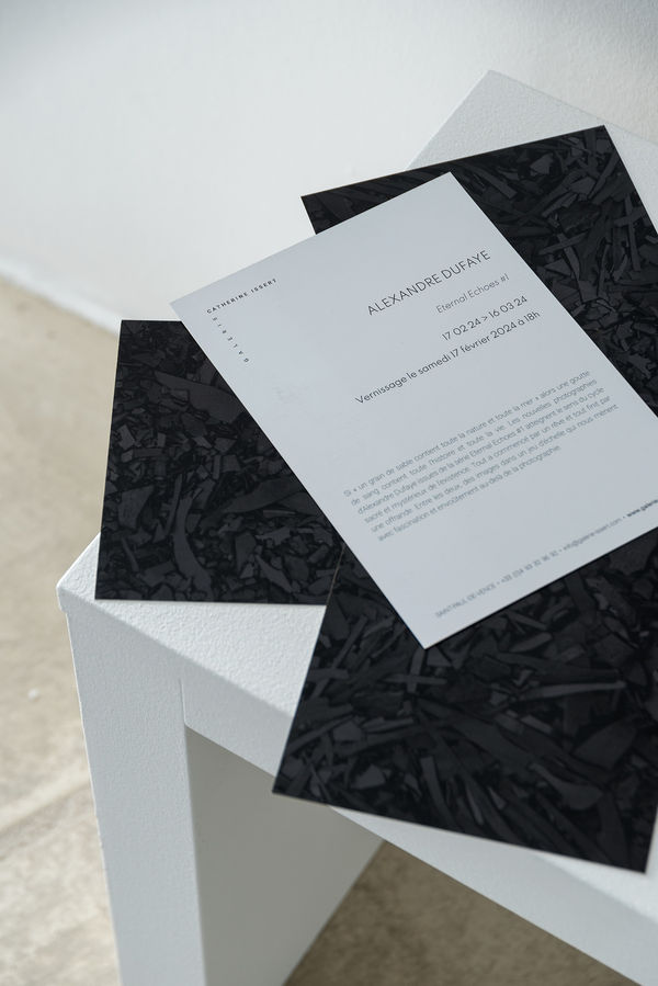 Al24 Eternal Echoes 1 033 Web