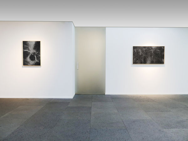 Galerie Du Monde Cn Liew Solo Exhibition Installation View 5