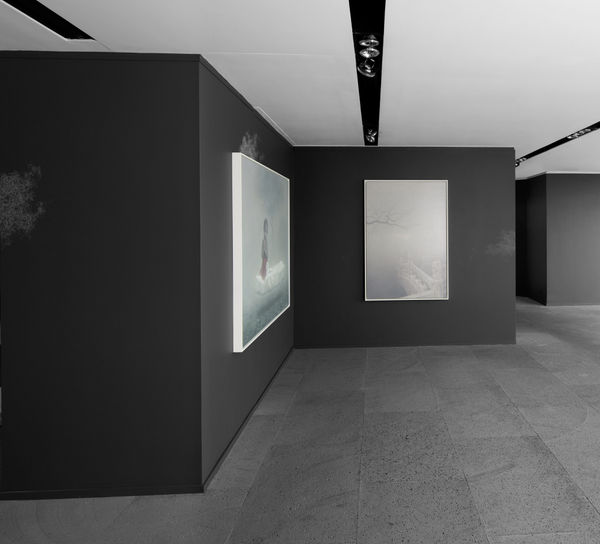 Galerie Du Monde Zhu Yiyong Solo Exhibition 2016 4