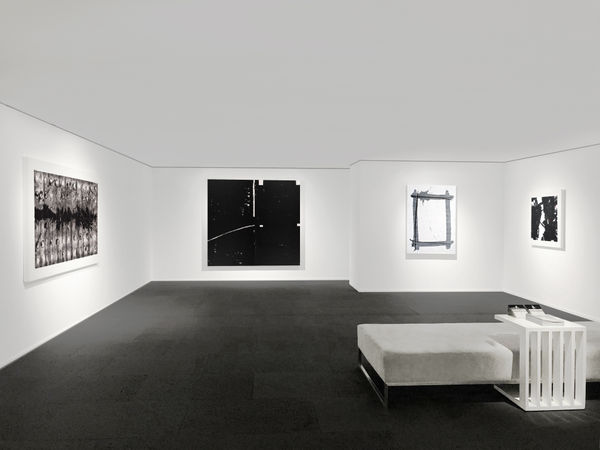 Galerie Du Monde Forms Of Ink Installation View 2