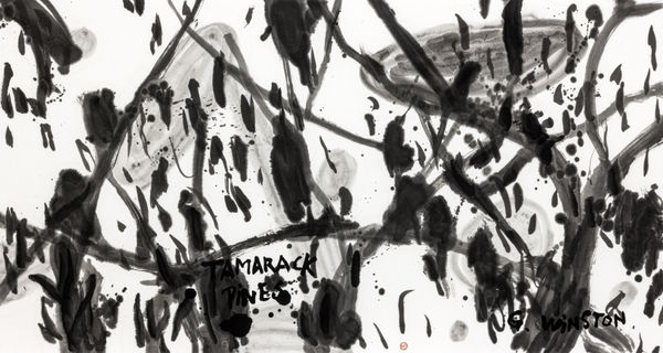 Fung Ming Chip G. Winston / Tamarcack Pines, 2019