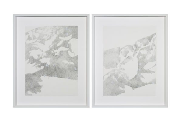 on the banks of the Amur, #41 and #13, 49°20'10.6"N 136°25'01.6"E, Nanaiski rajon (2009)