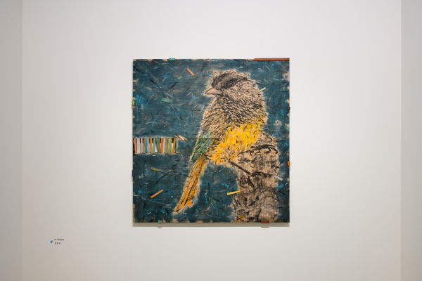 20251024 Lam Tung Pang 0034 Large