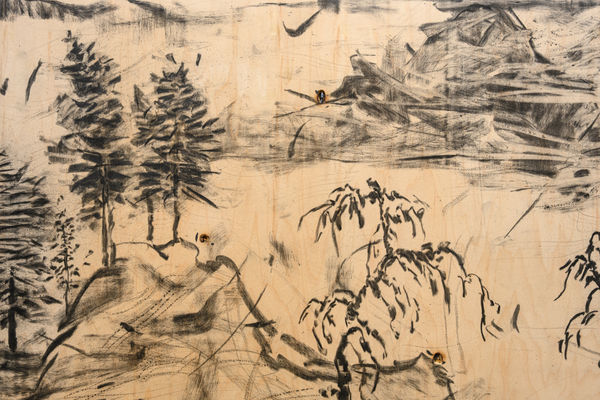 20251111 Lam Tung Pang 0775 Large