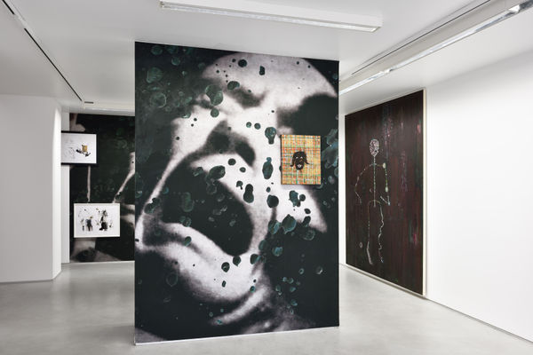 Hélène Delprat Moi qui adore Barnett Newman, on peut dire qu'on est loin ! 09.09-21.10.2017