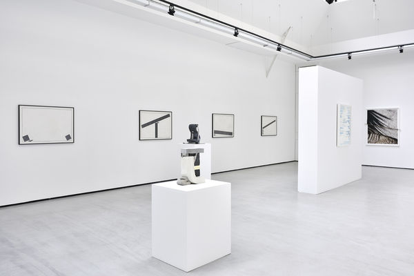 g = 9,8 N.kg-1 Dave HARDY, Keiji UEMATSU & Letha WILSON