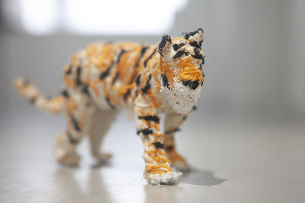 Exhibition view from the installation in the Frontspace "ROME" by Cate Giordano.