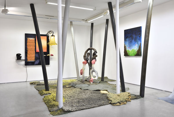 Vue de l'exposition de Leo ORTA, " Êtres Vivants ". © Photo : Rebecca Fanuele.