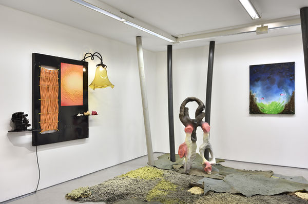 Vue de l'exposition de Leo ORTA, " Êtres Vivants ". © Photo : Rebecca Fanuele.