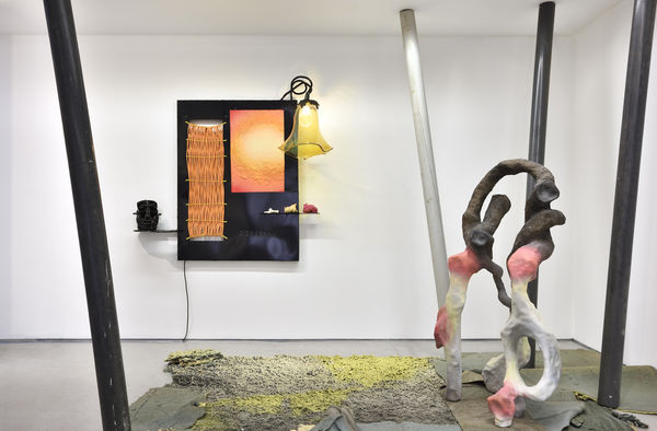 Vue de l'exposition de Leo ORTA, " Êtres Vivants ". © Photo : Rebecca Fanuele.