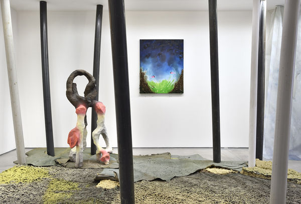 Vue de l'exposition de Leo ORTA, " Êtres Vivants ". © Photo : Rebecca Fanuele.