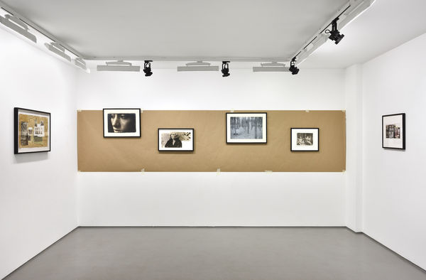 Photo © Rebecca Fanuele