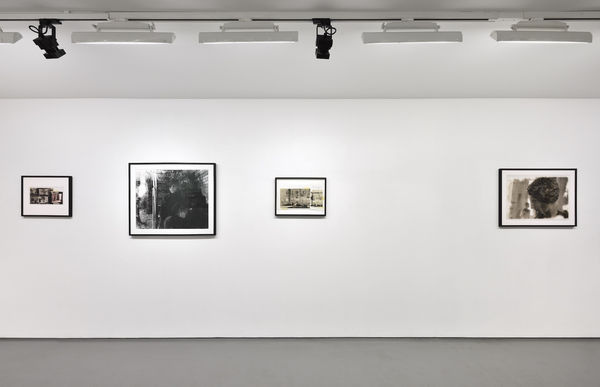 Photo © Rebecca Fanuele