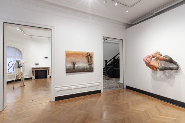 L&eacute;o Orta, Uncanny in the man sane / &Ecirc;tre-Anges (ways of being), Galerie Christophe Gaillard Brussels. Photo : &copy; Zooo