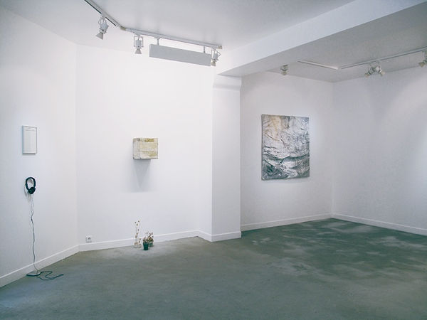 Réelle Présence, w/ Véronique Bourdier, Lawrence Carroll, Thibault Hazelzet, Bérengère Henin, Kassia Knao, Tetsumi Kudo, Isabelle Le Minh, Guillaume Lebelle 28.01 - 25.02.2012