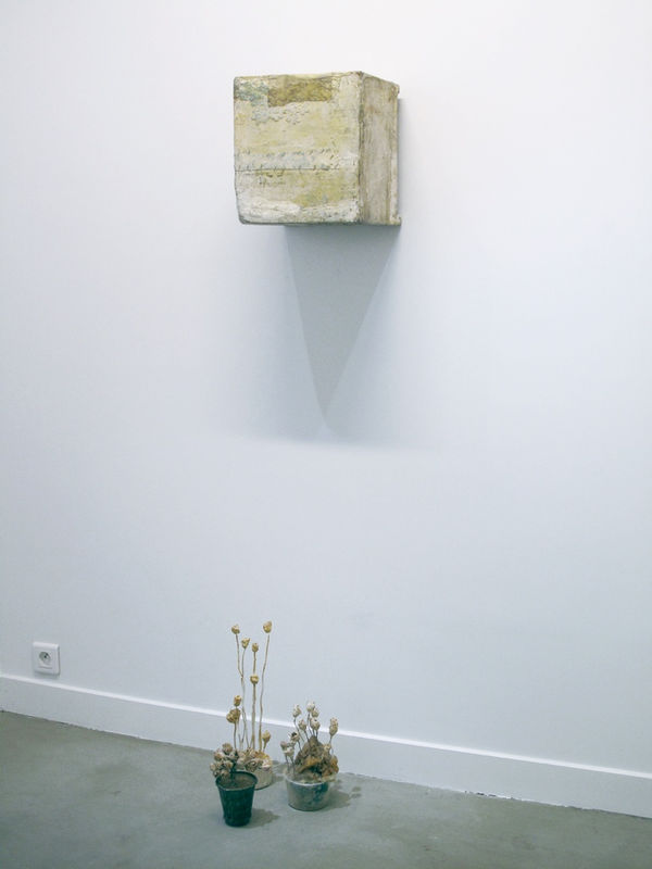 Réelle Présence, w/ Véronique Bourdier, Lawrence Carroll, Thibault Hazelzet, Bérengère Henin, Kassia Knao, Tetsumi Kudo, Isabelle Le Minh, Guillaume Lebelle 28.01 - 25.02.2012