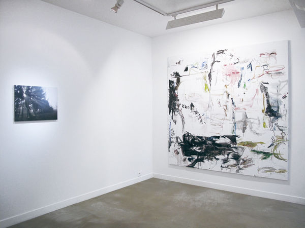 Réelle Présence, w/ Véronique Bourdier, Lawrence Carroll, Thibault Hazelzet, Bérengère Henin, Kassia Knao, Tetsumi Kudo, Isabelle Le Minh, Guillaume Lebelle 28.01 - 25.02.2012