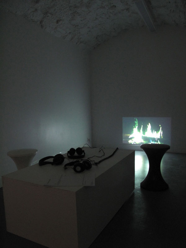 Réelle Présence, w/ Véronique Bourdier, Lawrence Carroll, Thibault Hazelzet, Bérengère Henin, Kassia Knao, Tetsumi Kudo, Isabelle Le Minh, Guillaume Lebelle 28.01 - 25.02.2012