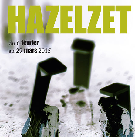 Thibault Hazelzet Photographies & Sculptures