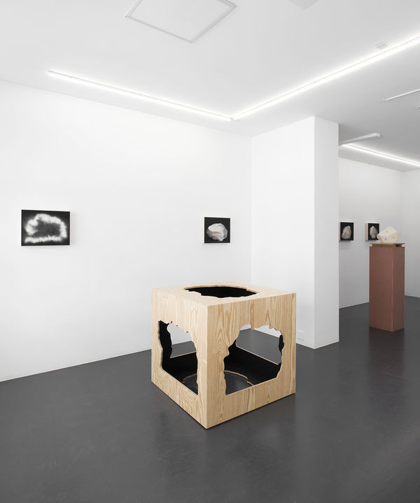 2 Vue D Exposition Didier Vermeiren Photographies Sculptures Courtesy De L Artiste Et Galerie Laurence Bernard Gene Ve