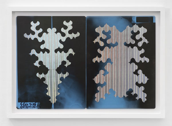 SEVERINE HUBARD, Bicho raro (L'un est le double de l'autre), 2016