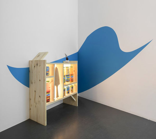 FLORIAN VIEL, Cabinet des souvenirs approximatifs 3, 2017