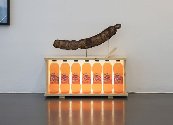 FLORIAN VIEL, Cabinet des souvenirs approximatifs 2, 2017