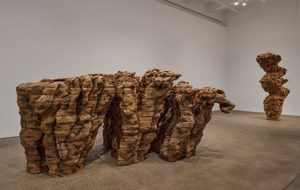 2026 2 18 Uvr Lelong1161