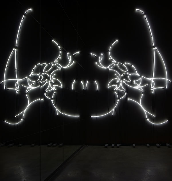 Alfredo Jaar (Kindness) of (Strangers), 2015 Neon, mirrors, and framed print 3 Mirrors: 48 x 144 inches (121.9 x 365.7 cm) each Edition of 3 + 2 APs