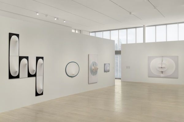 Zilia Sánchez: Topologías / Topologies