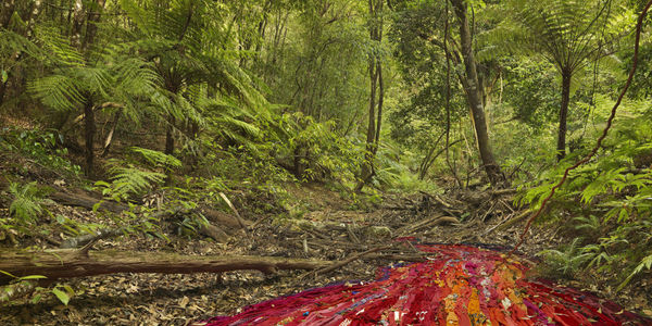 Rosemary Laing: A Tribute: Selected Works