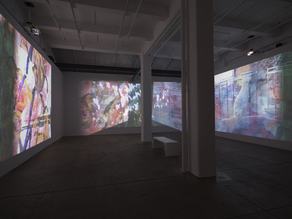 Carolee Schneemann Further Evidence - Exhibit B