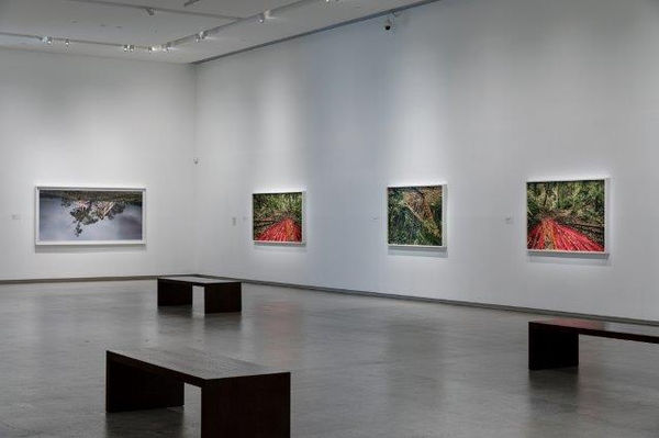 Rosemary Laing Tarrawarra Museum of Art, Australia