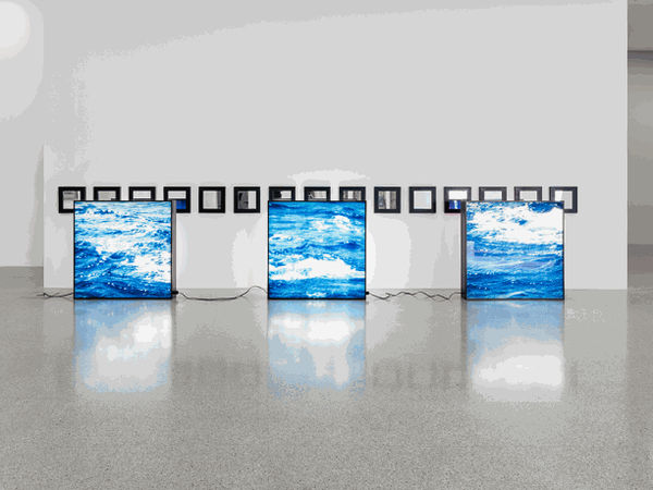 Alfredo Jaar, Hélio Oiticica